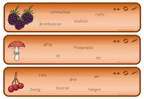 Vorschau - Aufgabenkarten - Abschreibkarten Schüttelsätze Herbst - Seite 2