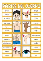Aperçu - Jeux - partes del cuerpo Clip Cards Espagnol - Page 1