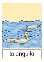 Aperçu - Présentation / Support pour le tableau - animales flash cards Espagnol - Page 1