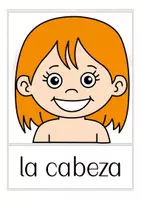 Aperçu - Présentation / Support pour le tableau - el cuerpo flash cards Espagnol - Page 2