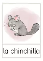 Aperçu - Présentation / Support pour le tableau - FREEBIE mascotas flash cards Espagnol - Page 1