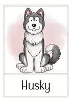Aperçu - Présentation / Support pour le tableau - perros flash cards Espagnol - Page 3