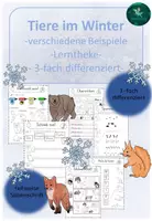 Vorschau - Stationenlernen - Tiere im Winter I Lerntheke I Überwinterungsstrategien I 3-fach differenziert - Deckblatt
