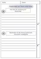 Vorschau - Klassenarbeiten - Klassenarbeit mein Körper Sachunterricht Klasse 3/4 - Seite 2