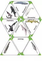Vorschau - Spiele - Ozeane I Meere I Unterwasser I Spiel I Triominios I differenziert - Seite 2
