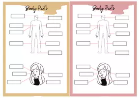 Vorschau - Mal- und Bastelvorlagen - Body Parts - Vorlage Körperteile Englisch - Seite 3