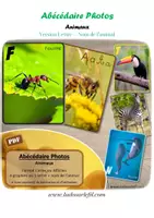 Aperçu - Apprentissages en autonomie - Abécédaire Photos sur les animaux - Lettre + Nom - Page de couverture