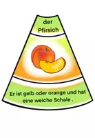 Vista previa - Juegos / Gamificación - Círculo de colocación "das Obst" alemán - página 2