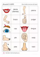 Aperçu - Jeux - partes del cuerpo RECUERDA! Espagnol jeu de mémoire - Page 2
