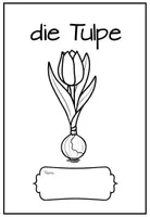 Vorschau - Arbeitsblätter - Unterrichtsmaterial über den Frühblüher Tulpe - Seite 1