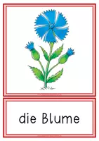 Vorschau - Arbeitsblätter - lautgetreues Miniheft Wald (inkl. Sticker und Tafelbildkarten) - Seite 3