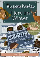 Vorschau - Stundenentwürfe - Materialpaket Tiere im Winter - Tafelmaterial, Wissenskartei & Forscherheft - Seite 1