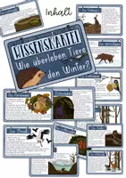 Vorschau - Stundenentwürfe - Materialpaket Tiere im Winter - Tafelmaterial, Wissenskartei & Forscherheft - Seite 2