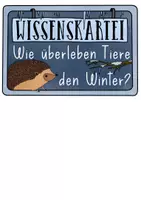 Vorschau - Stundenentwürfe - Materialpaket Tiere im Winter - Tafelmaterial, Wissenskartei & Forscherheft - Seite 3
