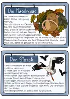 Vorschau - Unterrichtsreihen - Wissenskartei Tiere im Winter - Winterschlaf, Winterruhe, Winterstarre & Zugvögel - Seite 3