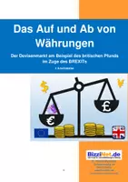 Vorschau - Stundenentwürfe - Das Auf und Ab von Währungen - Deckblatt