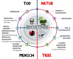 Vorschau - Stundenentwürfe - Einführung in die Bioethik (AB 1 Bioethik) - Seite 2