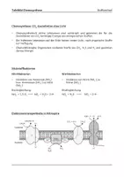 Vorschau - Stundenentwürfe - Chemosynthese - vollständiger Stundenentwurf inkl. Material - Seite 2