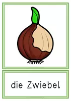 Vorschau - Arbeitsblätter - Lebenszyklus Tulpe - Paket ink.l INTERACTIVE - Seite 2