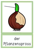 Vorschau - Arbeitsblätter - Lebenszyklus Tulpe - Paket ink.l INTERACTIVE - Seite 3