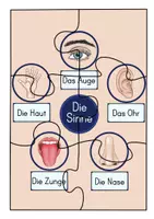 Vorschau - Spiele - Puzzle Die Sinne/ Das Auge/ Das Ohr/ Die Nase/ Die Zunge & Die Haut - Seite 3