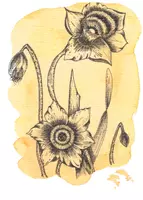Vorschau - selbst erstellte Cliparts/Grafiken - Frühblüher - Seite 2