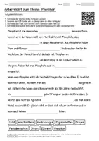 Vorschau - Arbeitsblätter - Arbeitsblätter "Phosphor" + Lösung & MP3 + - Deckblatt