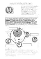 Vorschau - Arbeitsblätter - AB HIV Aufbau & Infektion - Seite 1