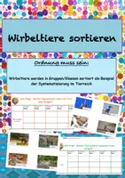 Vorschau - Arbeitsblätter - Wirbeltiere werden in Gruppen/Klassen sortiert. Systematisierung im Tierreich - Seite 1