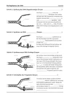 Vorschau - Arbeitsblätter - DNA-Replikation - Gruppenpuzzle - Seite 1