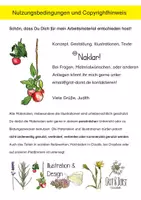 Vorschau - Stundenentwürfe - Tomaten aus Samen ziehen - Seite 3