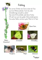 Vorschau - Arbeitsblätter - Frühling - Schmetterling - Biene - Hummel - Seite 2
