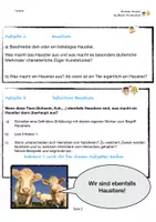 Vorschau - Unterrichtsreihen - Unterrichtsreihe 4 Klasse 5 Tierethik - Seite 1