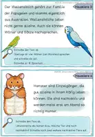 Vorschau - Aufgabenkarten - Abschreiben "Haustiere" Sprache untersuchen Nomen, Verben, Adjektive - Seite 2