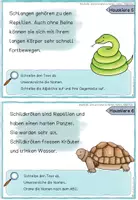 Vorschau - Aufgabenkarten - Abschreiben "Haustiere" Sprache untersuchen Nomen, Verben, Adjektive - Seite 3