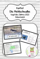 Vorschau - Arbeitsblätter - Materialpaket zur Mehlschwalbe - Seite 1