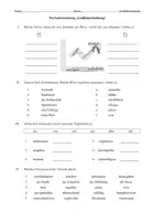 Vorschau - Arbeitsblätter - Wortschatz zur Grafikbeschreibung - als PDF & Word - Seite 1