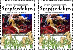 Vorschau - Arbeitsblätter - Forscherheft Seepferdchen I Ozeane I Meere - Seite 2
