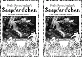 Vorschau - Arbeitsblätter - Forscherheft Seepferdchen I Ozeane I Meere - Seite 3