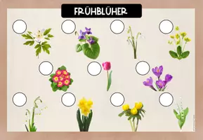 Vorschau - Spiele - Frühblüher Übersichtsblatt - für den Anybook Reader - Seite 2