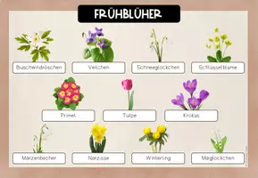 Vorschau - Spiele - Frühblüher Übersichtsblatt - für den Anybook Reader - Seite 3