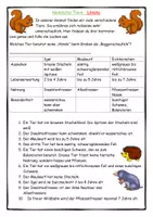 Vorschau - Spiele - heimische Tiere - Logical für die Grundschule - Seite 1