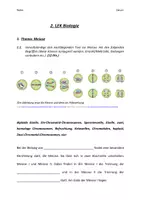 Vorschau - Stundenentwürfe - Materialpaket zur „Mitose und Meiose“ - Deckblatt