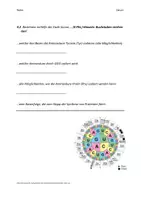 Vorschau - Arbeitsblätter - Klassenarbeit zum Thema „Meiose, Mutationen und Transkription/Translation“ - Seite 3