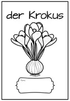 Vorschau - Arbeitsblätter - Unterrichtsmaterial über den Frühblüher Krokus #edukilights22 - Seite 1