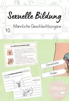Vorschau - Arbeitsblätter - Sexualerziehung - 10. Männliche Geschlechtsorgane - Deckblatt