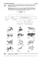 Vorschau - Arbeitsblätter - Vielfalt der Reptilien - Arbeitsblatt mit Stammbaum - Seite 1