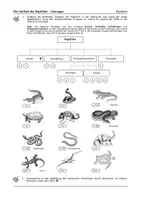Vorschau - Arbeitsblätter - Vielfalt der Reptilien - Arbeitsblatt mit Stammbaum - Seite 2