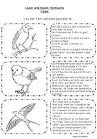 Vorschau - Arbeitsblätter - Lese-Mal-Blätter "Heimische Vögel", Klasse 1 und 2 - Seite 1
