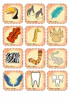 Vorschau - Spiele - Animal Body Parts: Stop & Swap Cards - Seite 3